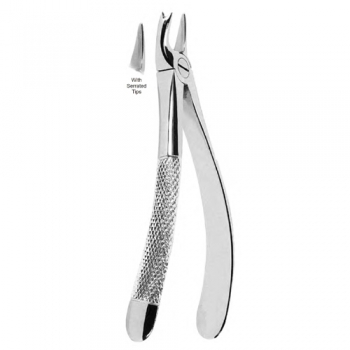 Extracting Forceps