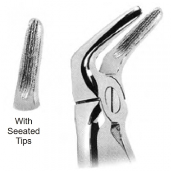 Extracting Forceps