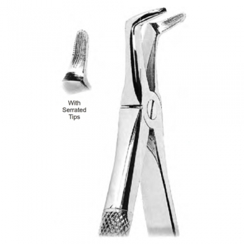 Extracting Forceps