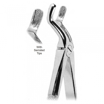 Extracting Forceps