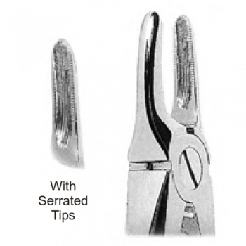 Extracting Forceps