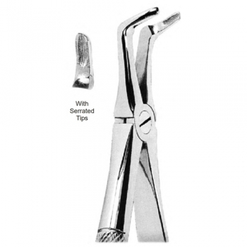 Extracting Forceps