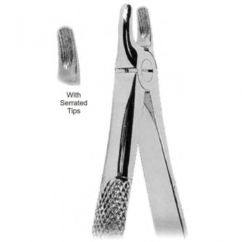 Extracting Forceps