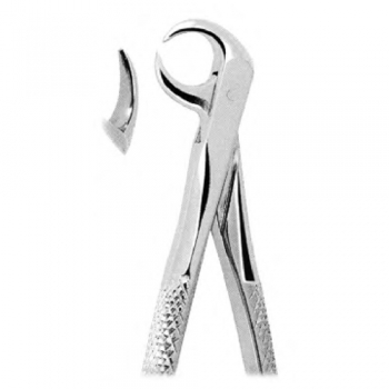 Extracting Forceps