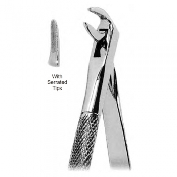 Extracting Forceps